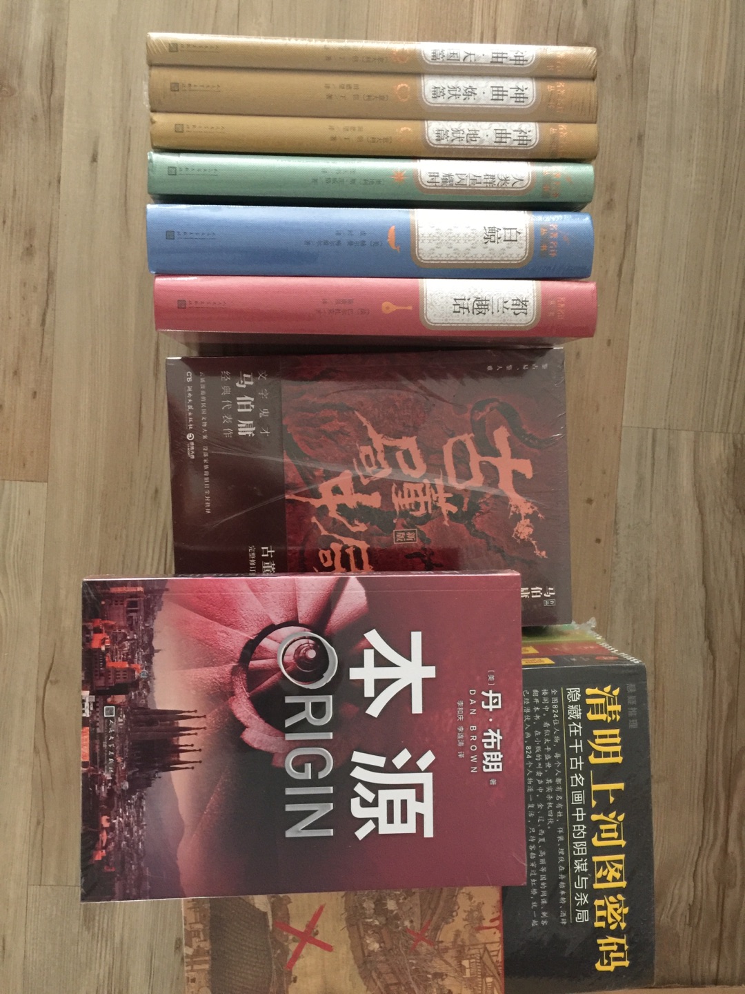 又到了每年两次的屯书时候，给自己、家人、孩子买点书，这次主要是补上一些彩虹墙。