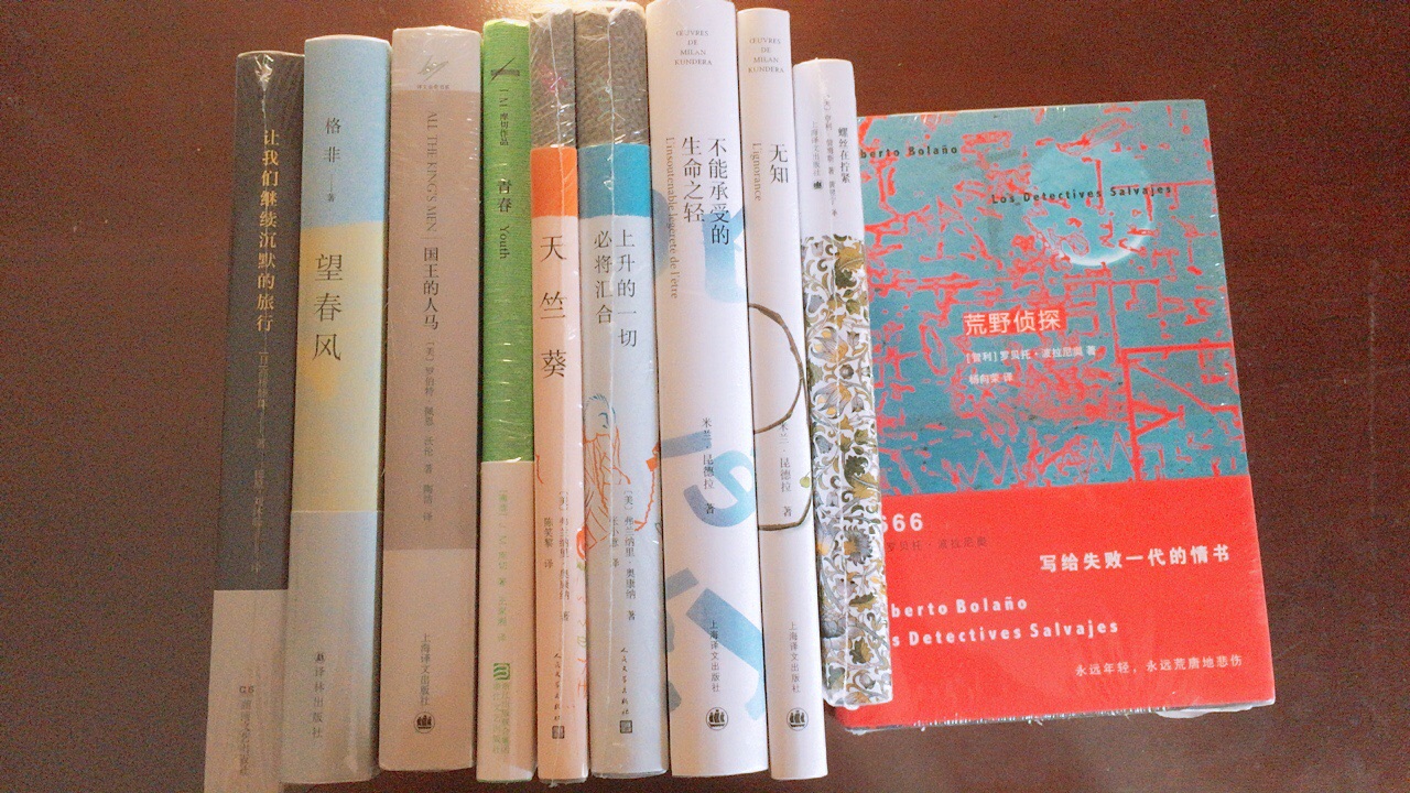 好久没看中国作家的书了…认识的人说格非是少有的“用脑子写作的的作者”