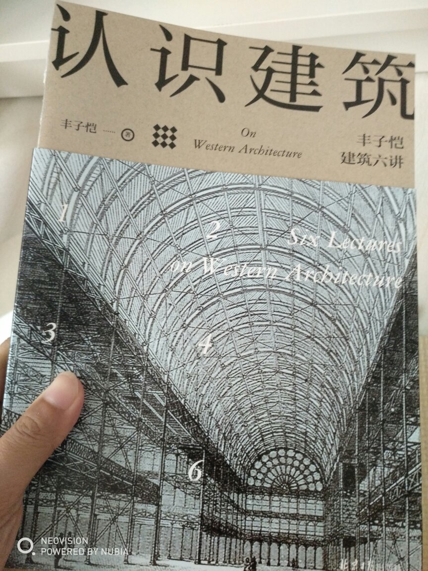 丰先生是一位学贯中西的学者，一位对美学有深厚造诣的大家，讲得很细致，看了认识绘画和认识建筑部分，很实用，讲到每个学派应该如何欣赏，大师讲艺术值得信任，看大师的书是平生之乐。