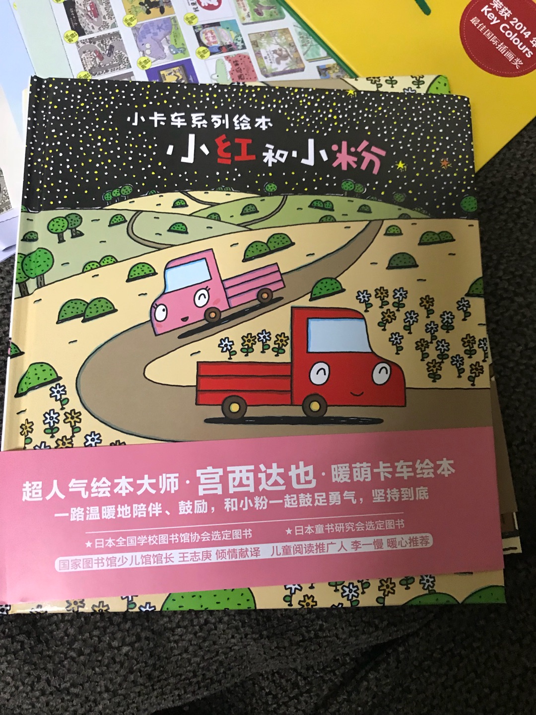 这套书，宫西达也的画风对四位主角的塑造起到了很大作用，他们的性格都画在脸上，画在眼泪中，画在神情中，正是内在情绪心理性格的外在投射，正是因为这些明显的童稚的投射，才容易将读书的孩子们带入，可以将自己的情绪输入到小红，小黄，小黑和小粉的故事中，也能从小红小黑小黄小粉的情绪中吸取正能量，更可以吸收整个故事要传递的内涵。