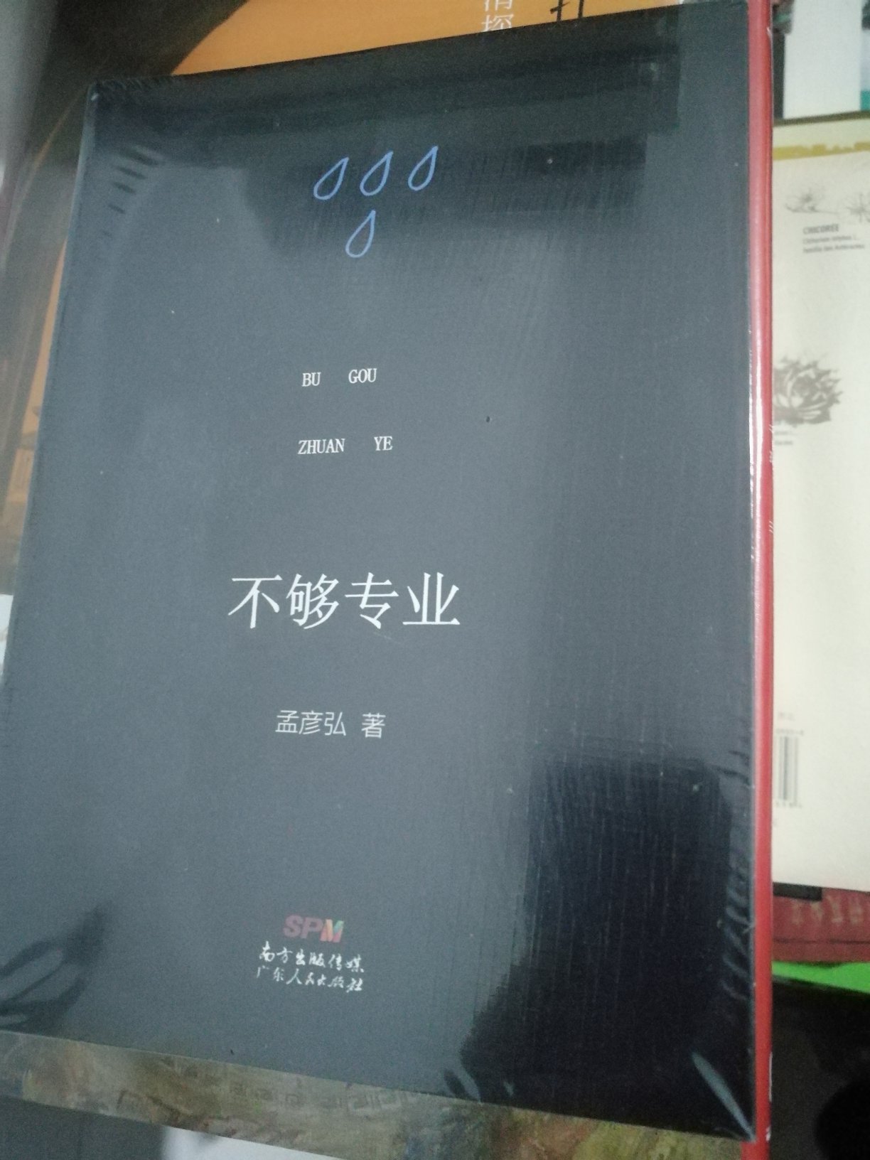 本书是作者史学散论、杂记以及怀人、记事、游记的随笔杂文的一个精选集，既可看成是社科院历史学家为历史学入门者撰写的指南读本，也可看成是一位中年学人忆旧怀人的随笔集子。