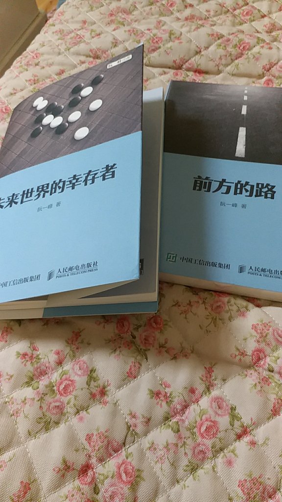 从作者的网站上看了文章有些感触，买实体书支持阮一峰。书中没配插图确实遗憾。