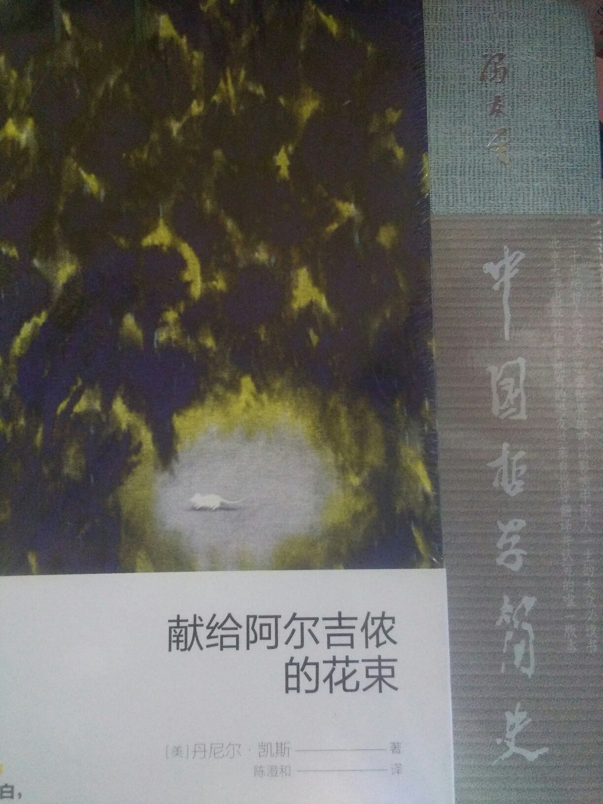 文科生一枚，读冯友兰先生的书大有益处:)