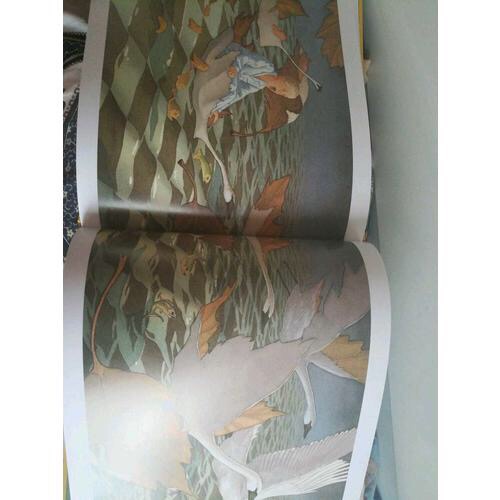 《梦幻大飞行》主要介绍了一个金发男孩，抱着一本厚厚的书在床上睡着了。当他进入梦乡后，他的格子床单开始延展成无尽的田野和海洋，而他手上的书，则变成了一页页飞翔的地图，带领他穿越一座座奇幻城市……这是超现实主义绘画大师大卫·威斯纳的一本无字图画书，荣获1989年凯迪克银奖。