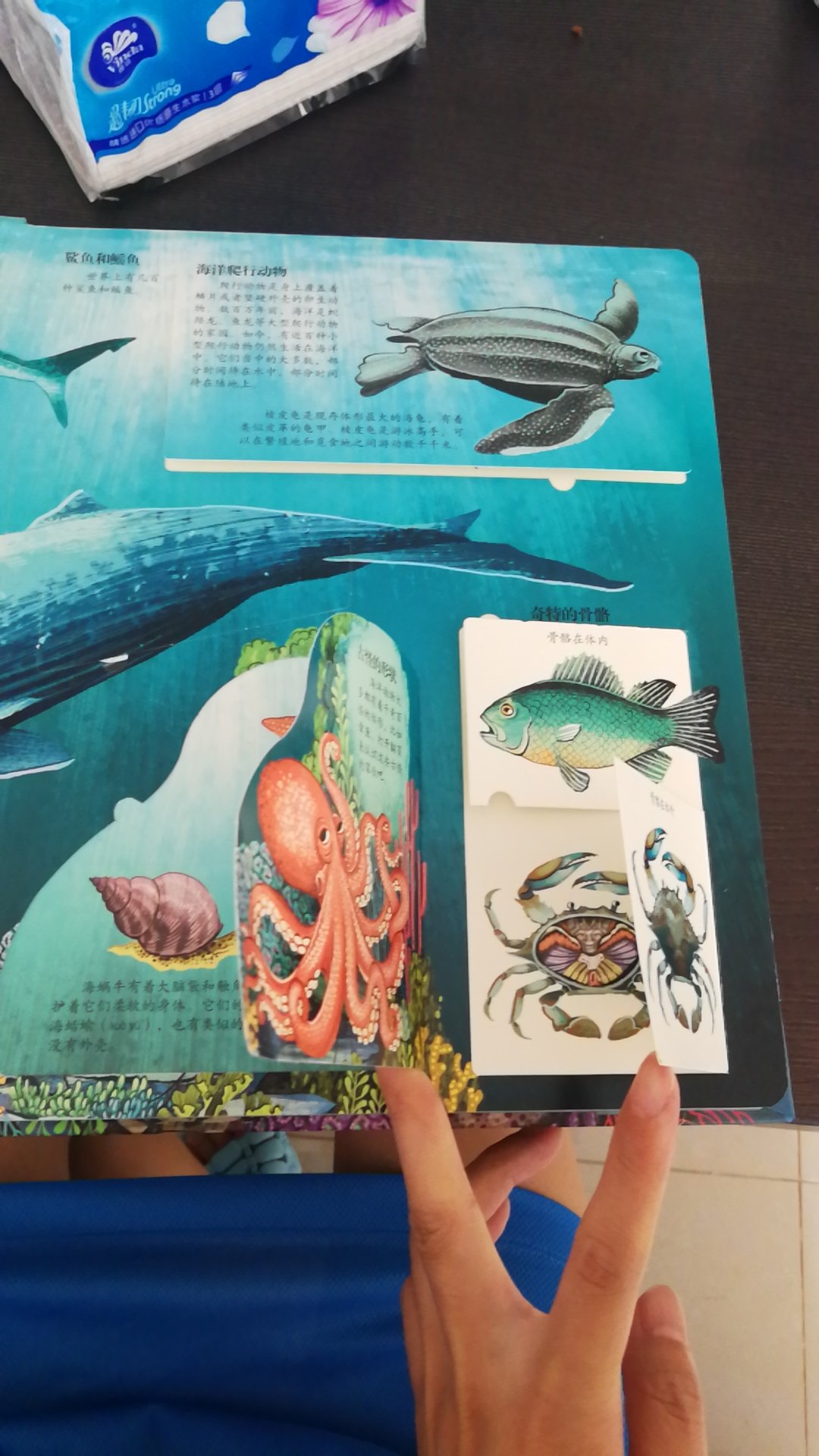 这本书非常好，孩子特别喜欢海洋生物，这里面的图还是立体的，孩子更是爱不释手，拿到了书就翻越个不停，还能学到很多知识，图书质量也是没得说，送货快