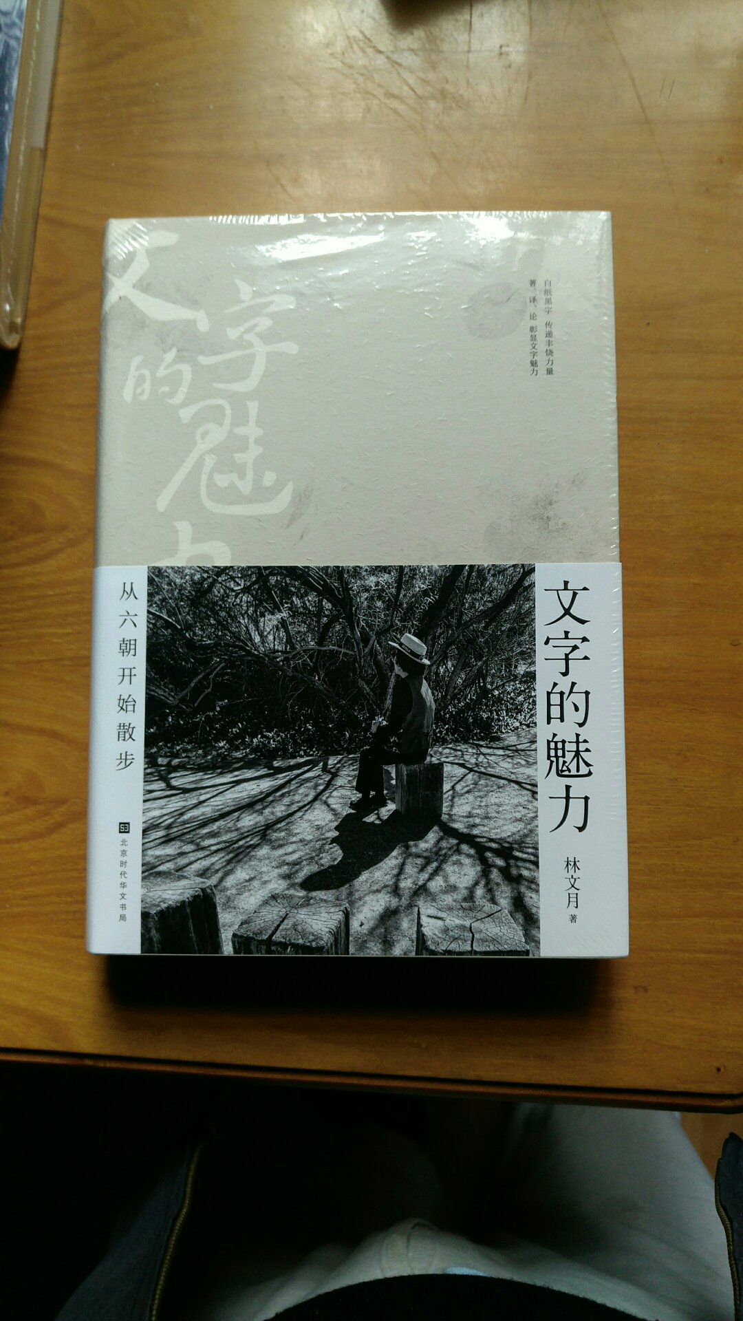 文字的魅力：从六朝开始散步，好书推荐。