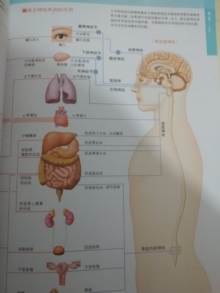 包装完好，里面的图字清晰，没有异味，快递速度快。