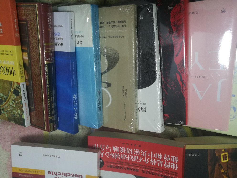 双十一   99快十本书活动买的，正好买了些文学作品，成年后的思维和求学时，不一样了，更有一些新的体会，买来消磨时光