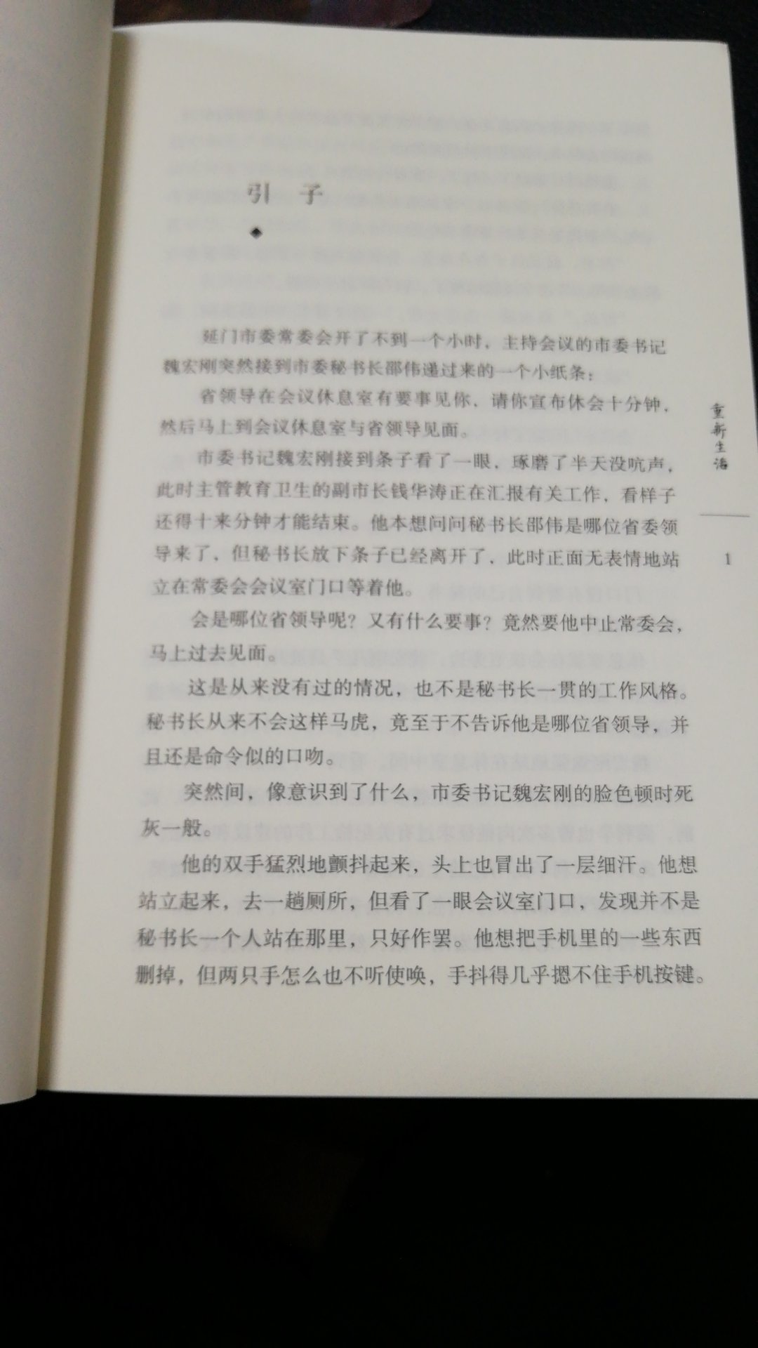 反腐力作，看看写得怎么样，张平应该还是有责任的作家