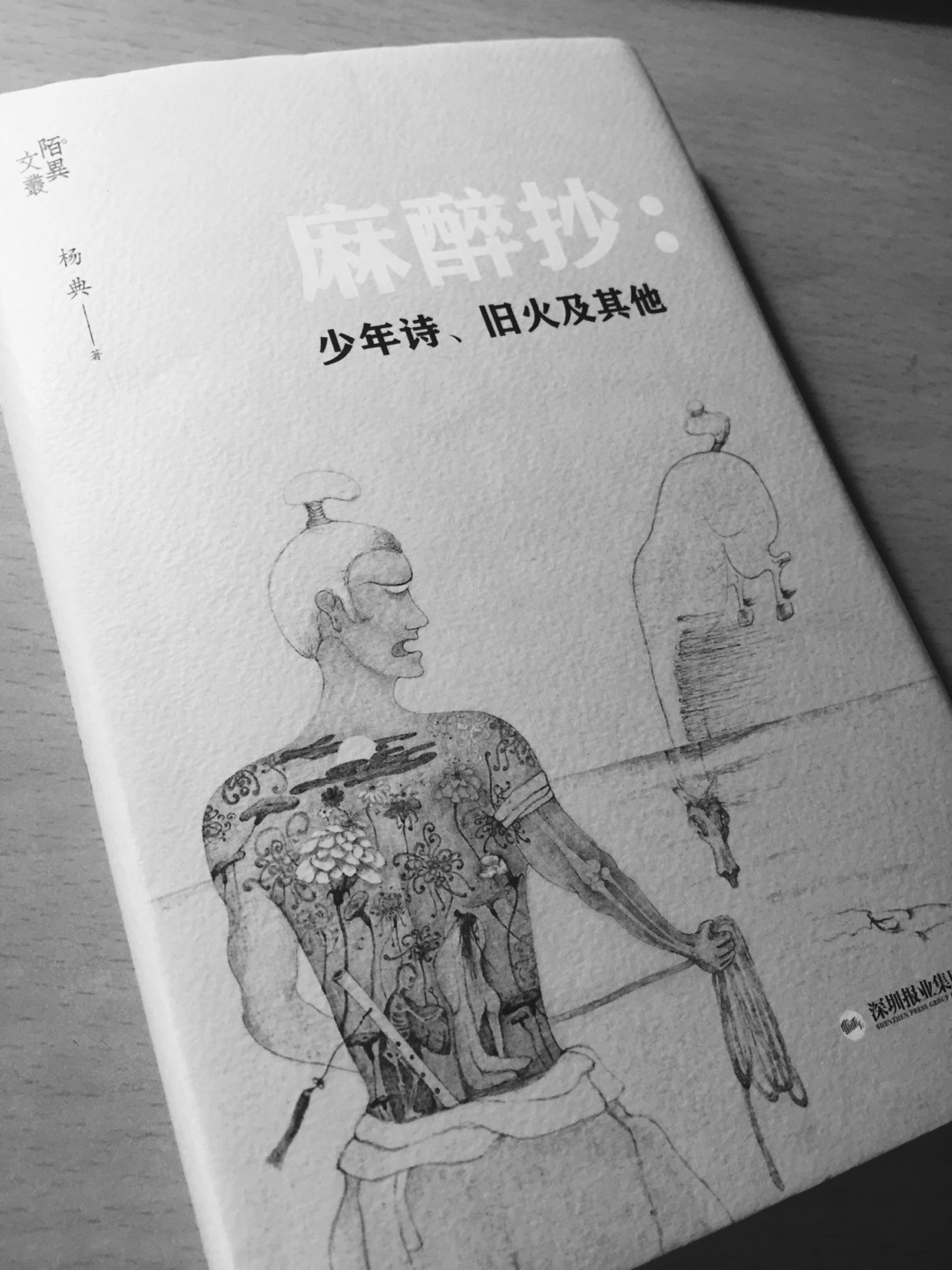 期待已久的书。选题非常好，介绍了三岛由纪夫和永山则夫的诗。非常非常喜欢。