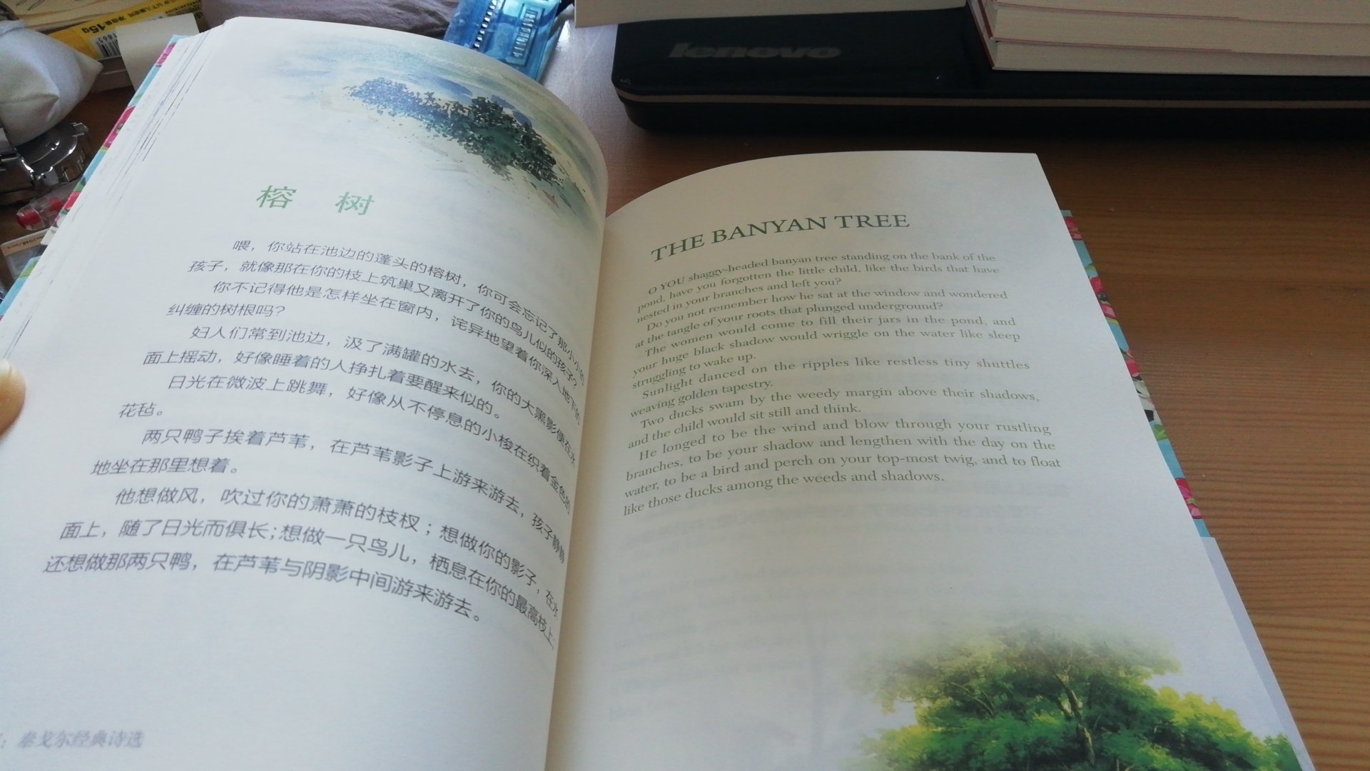 中英文都有的。非常好，如果这本书初中，高中时候读一读就好了。真是可怜现在中学的学生，天天就是考试考试，受不了一点艺术熏陶！