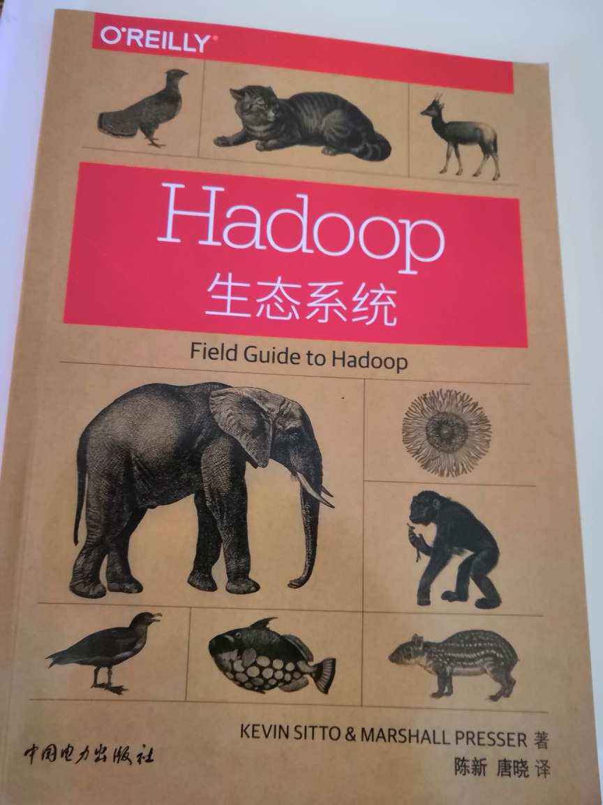 小而美的书籍，HADOOP是大数据时代的经典框架，也基于此衍生出来了各种五花八门的框架。这对开发者来说反而造成不少困扰。本书不是权威的开发指南，相反，其为想要快速了解或入门Hadoop的读者提供了一个清晰的视角。