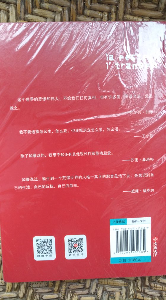 包装有点简陋，书是搞活动，很便宜的，9.9元。这本文学名著，从来没有看过，买下来，慢慢看