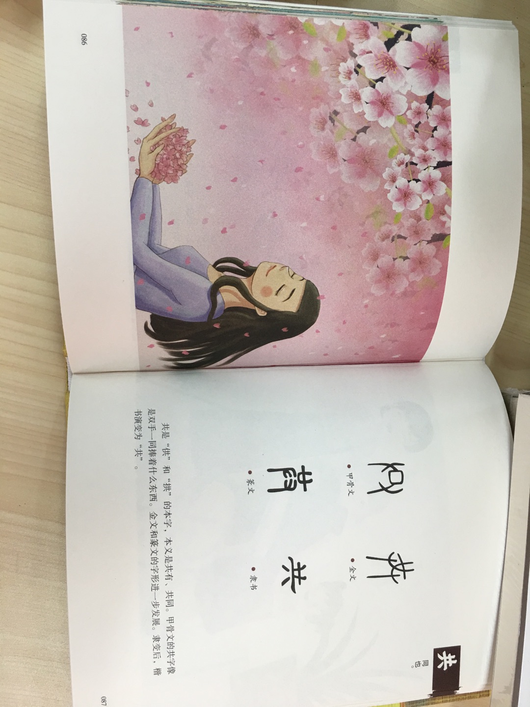读了这本书后，孩子知道了汉字是如何形成和演变的，不会让孩子觉得学习汉字是一件枯燥乏味的事情了。吸取传统文化的营养，丰富专业的知识，去更加了解中国汉字文化的美，去感受中国汉字的精髓。主要选取一些与人的生活有关的字，按章讲述，如人与人类，水与山，家畜，车、路和船，农耕，酒和器皿，麻与丝、竹与树、屋顶与房子，书籍与音乐等，同时分析和讲述中国人的生活方式和风俗习惯，加深读者对文字的理解。书中只讲述了200多个“基本汉字”，它们大多是中国人最早创造使用的汉字。可以说，这是一本孩子学习汉字的通俗易懂的入门书。