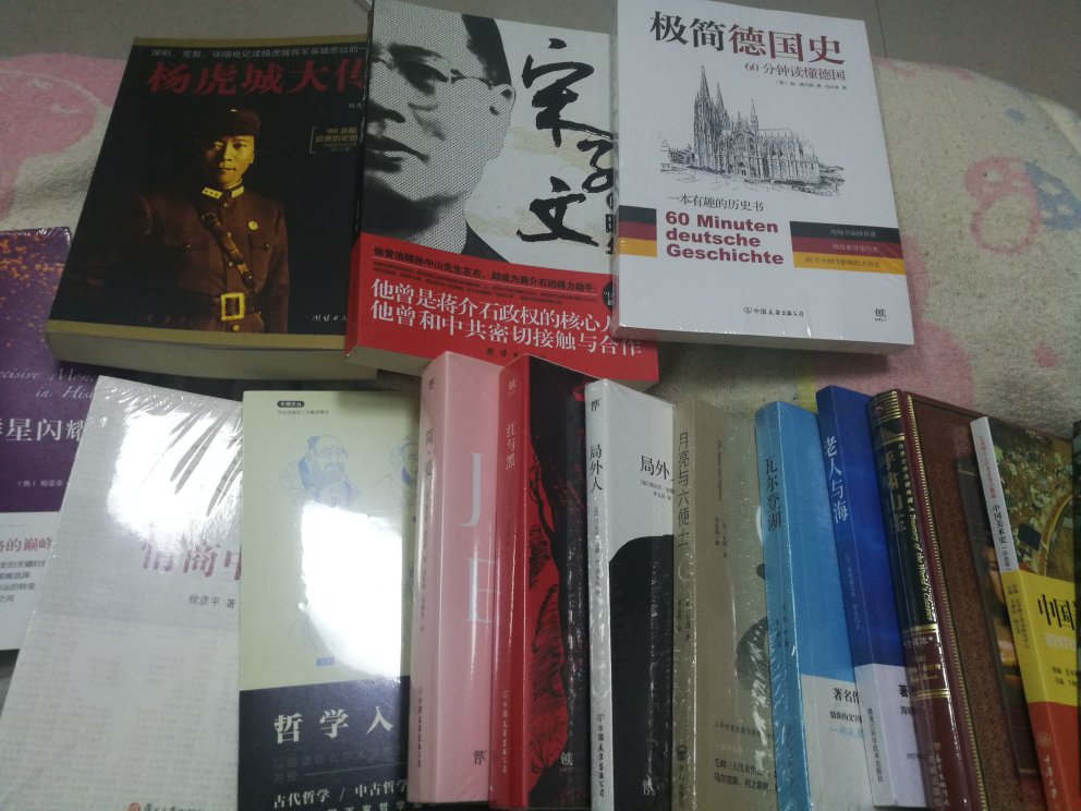 双十一   99快十本书活动买的，正好买了些文学作品，成年后的思维和求学时，不一样了，更有一些新的体会，买来消磨时光