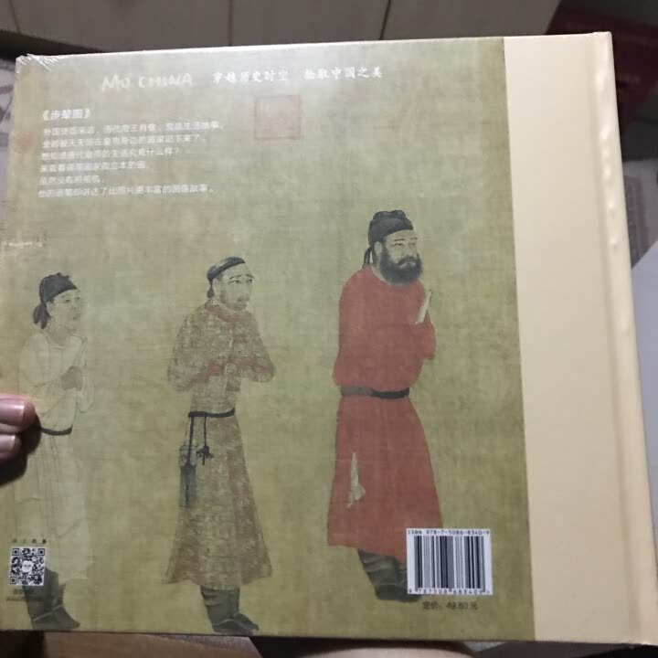 喜欢中信出版社的书，这套书孩子可以了接古代名画也很好看，在买东西速度很快，质量有保证，非常不错，完美！