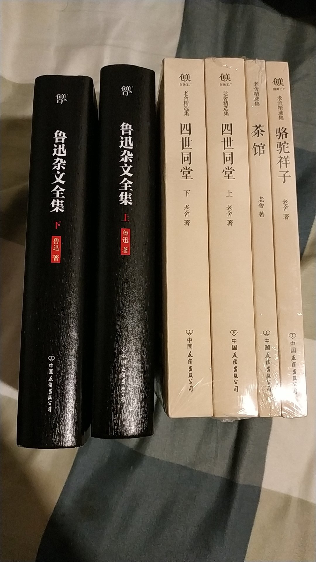 友谊出版公司这是要干大事啊，出版了这一系列的书，先买了老舍和鲁迅。