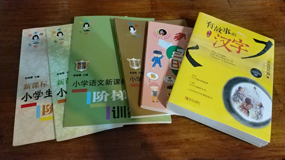 买了整整一套，好多本，每本书都介绍几十个汉字，每个汉字介绍的很详细。从来源到字形到历史演变。很好的一套学习汉字的书。
