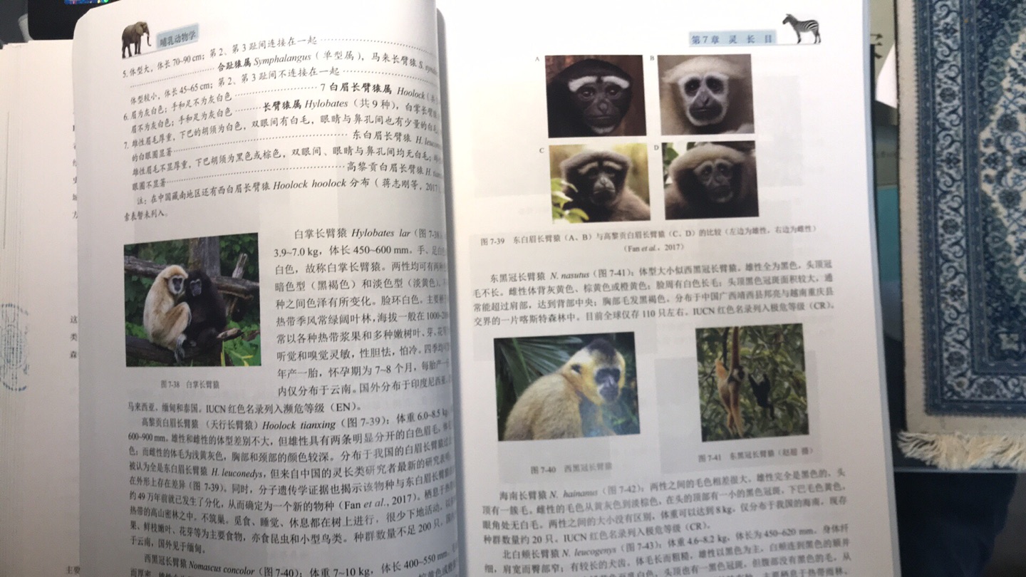 哺乳动物方面一本不错的教材和参考书