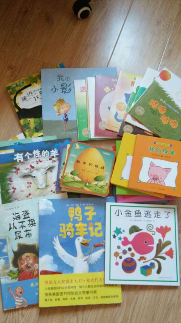 自从朋友介绍购买童书之后经常在给孩子购买童书，正版快速还合适，希望新的一年活动多多