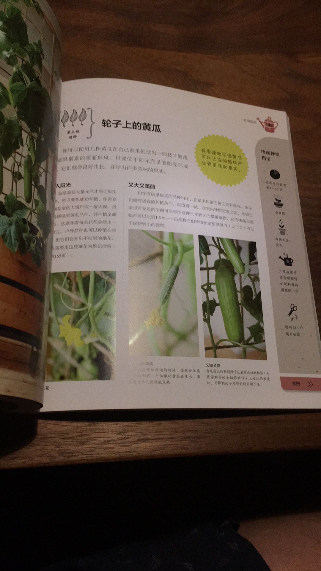 DK出版，质量保证，实际上书名应当是《室内可食用植物指南》，介绍了可食用的香草、蔬菜和水果在室内的种植。