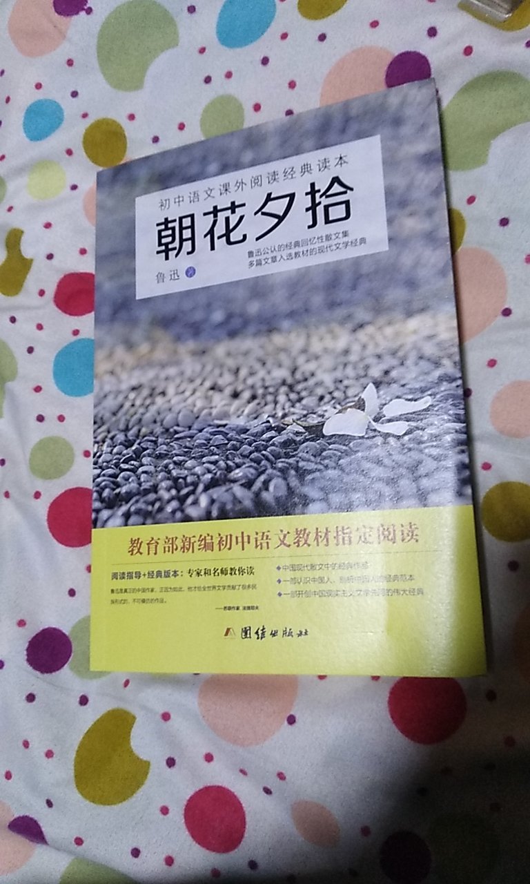 一下子买了好几本！看着都还不错！有三本书版本小一点！印刷也还行！内容充实！物流也快！