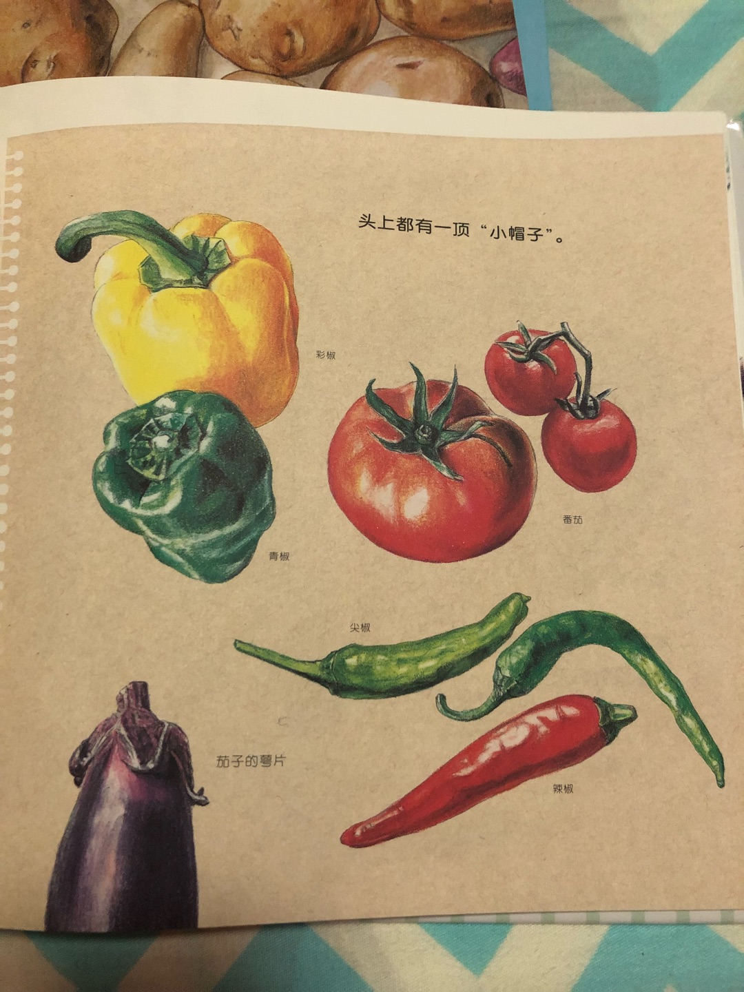 非常好的一本介绍蔬菜的绘本孩子超爱