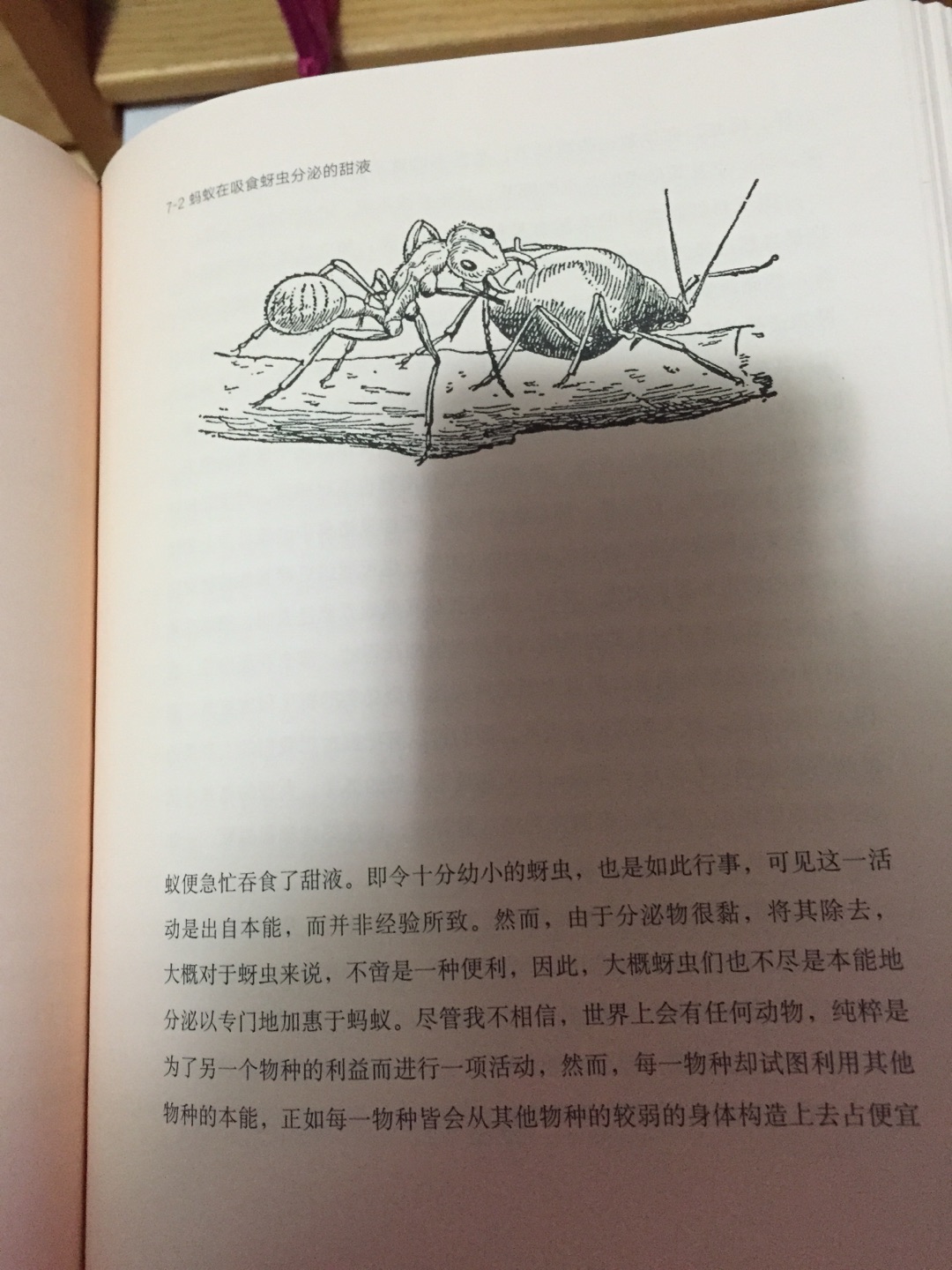 印刷特别好，插画也很好，女儿很喜欢的一本书，没有异味。