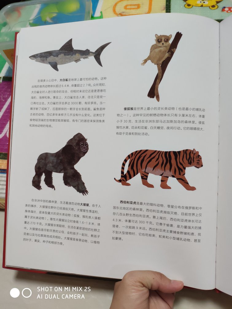 这本书以1：1的比例展现动物与我们的大小对比，很有趣，而且在书的末页会有这18只动物的详细介绍。真的不错，发货快。总体很满意。