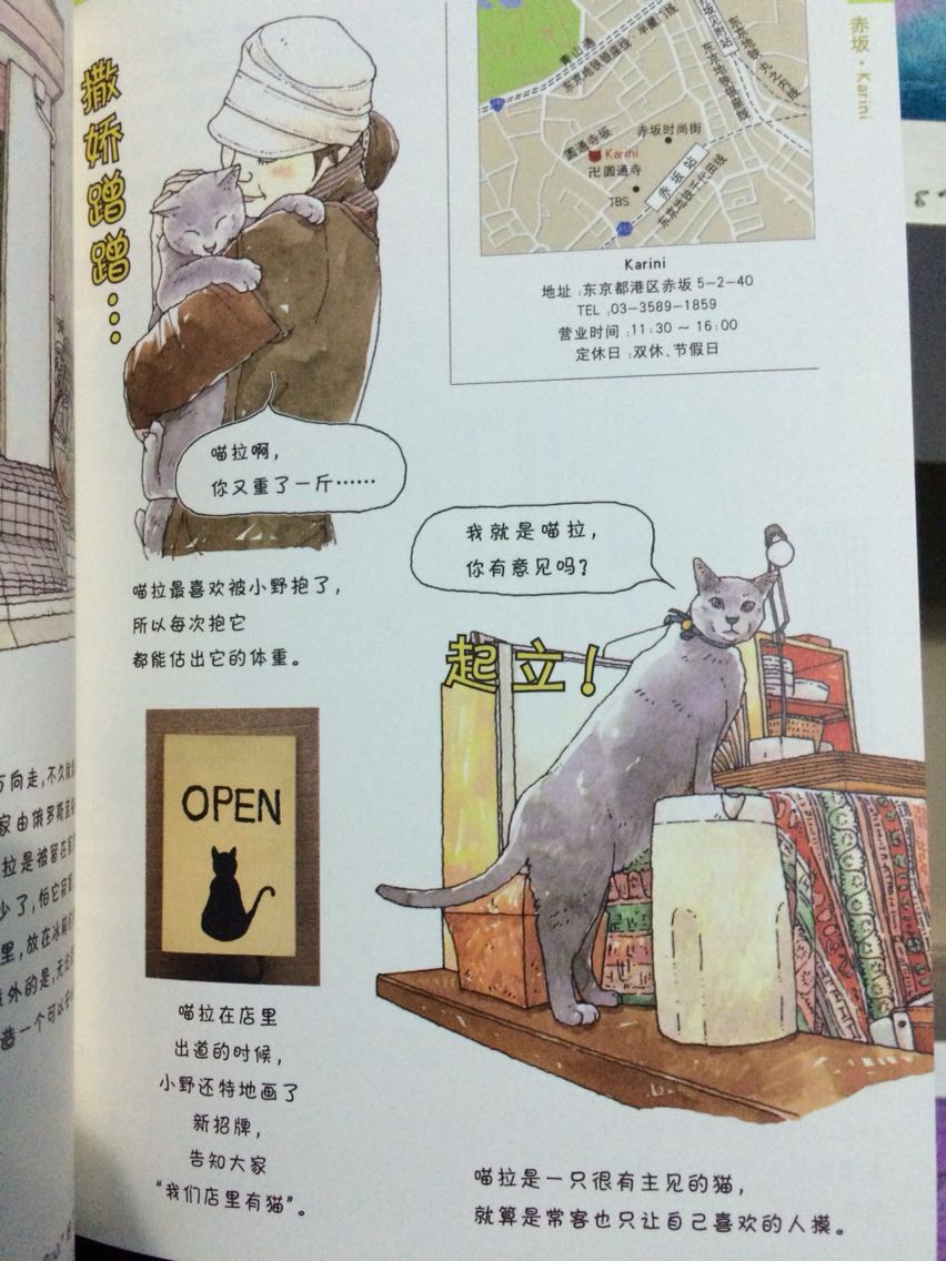 介绍了日本的几家店，以及店里面的招财猫。没什么内容，画还可以。喜欢看平面实体画…不过就是，确实是没有什么内容可以看的。
