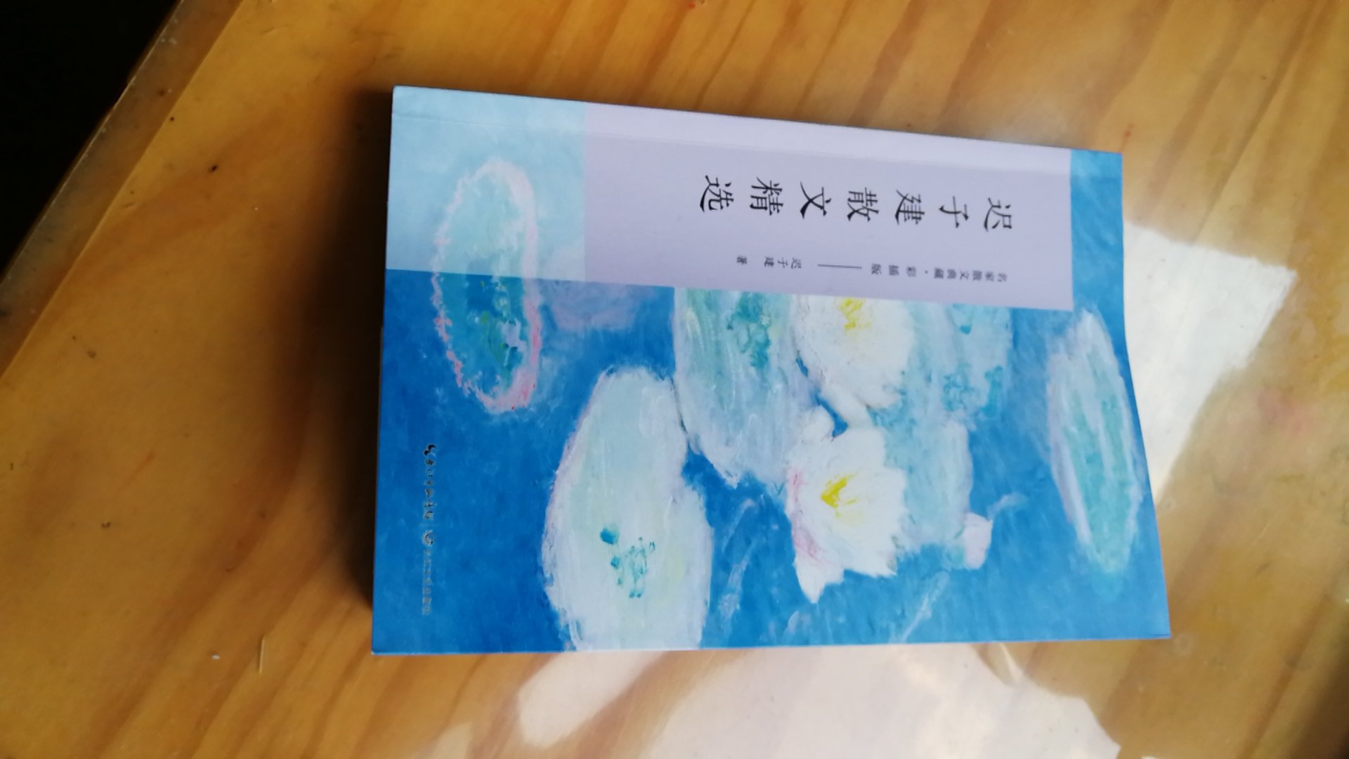 名家散文精选，迟子建的很多作品经常被用作中学语文阅读理解，挺实用的。