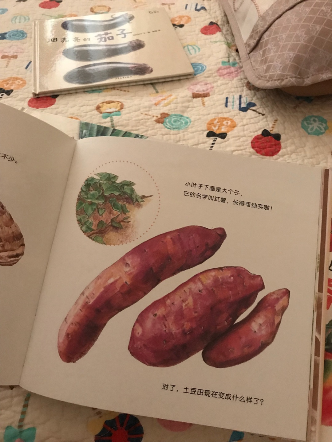 画风很美的一套书，讲了好几种蔬菜的知识，很赞。