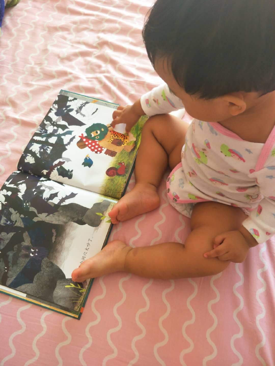 宝宝1岁4个月 爱这本书爱到原地爆炸 我都快讲吐了 这几天开始她给我讲了 真的是独宠