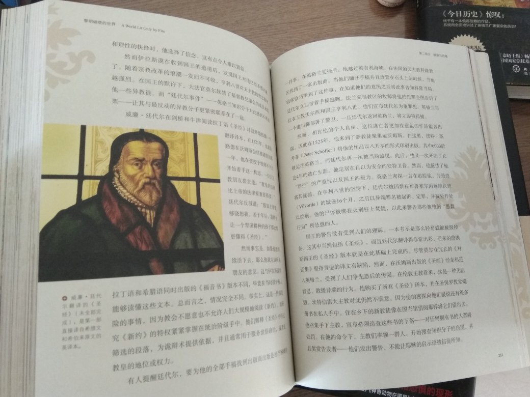 这套书挺不错的，买了两本，一本英国史，一本文艺复兴史