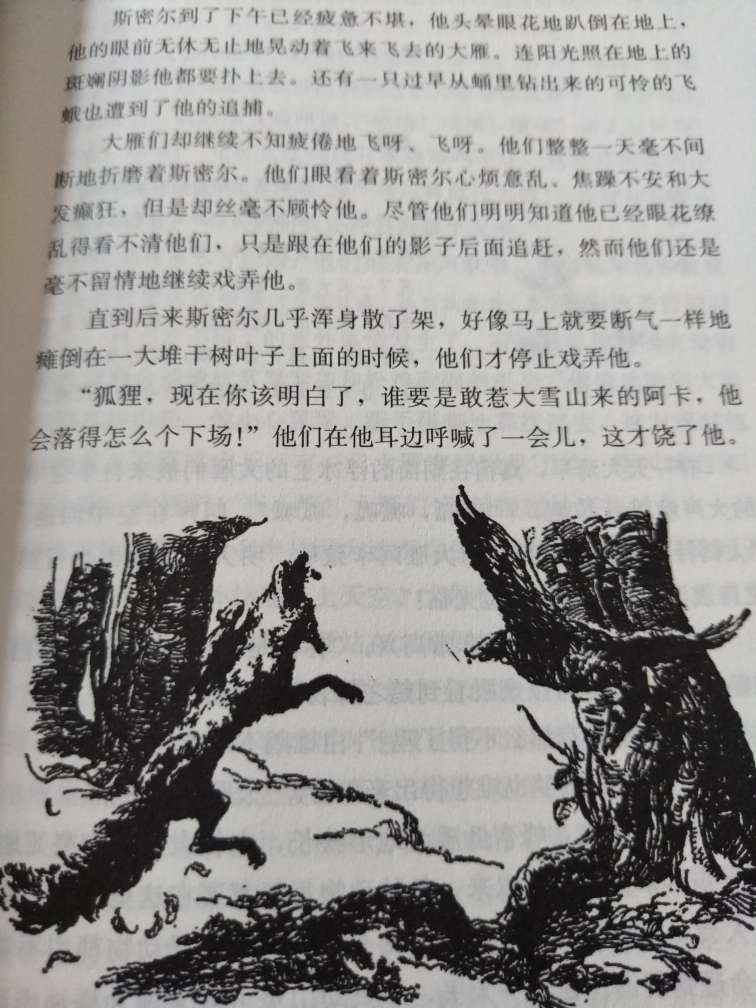 不错全塑包装，就是快，隔天到