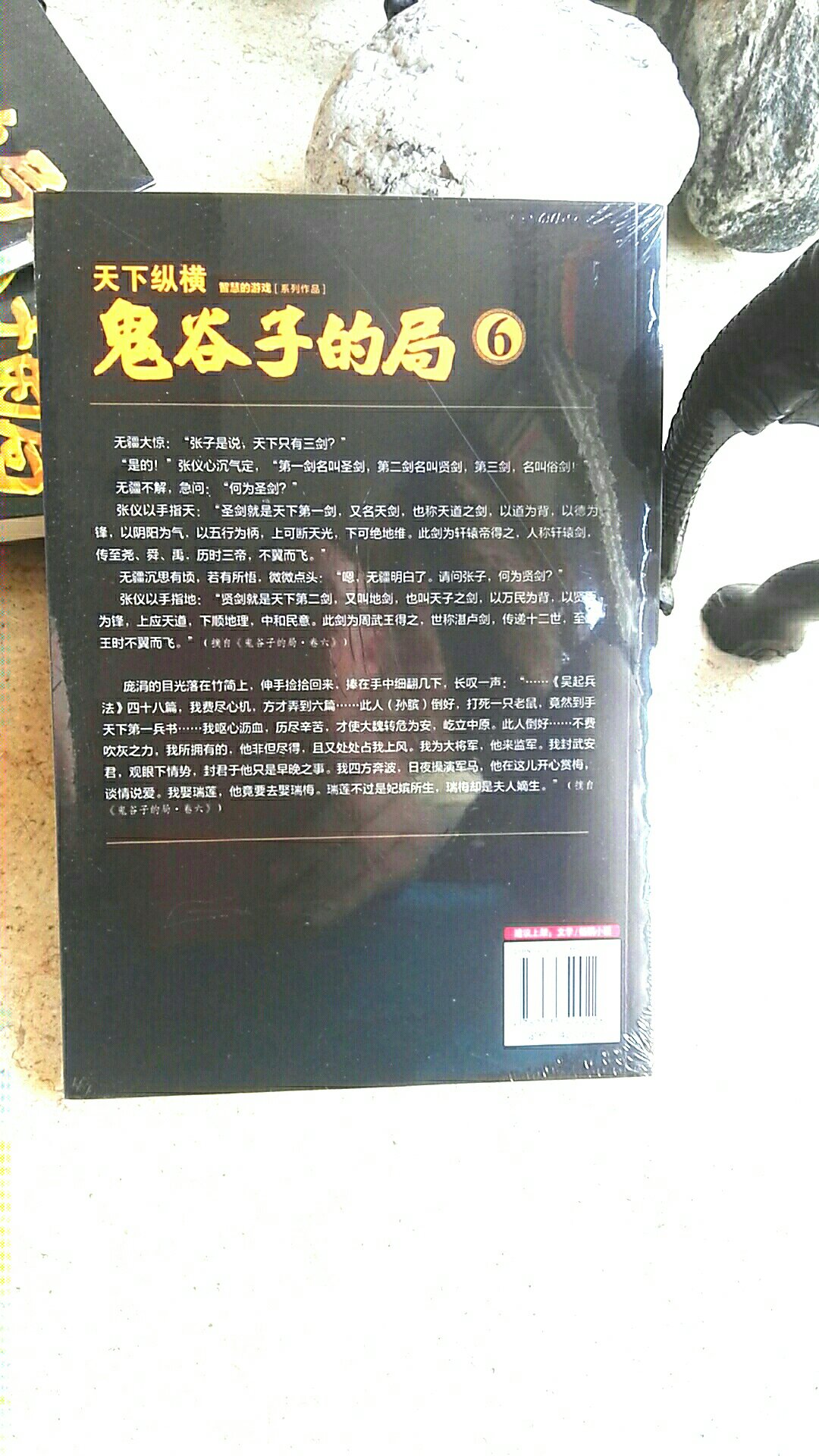 非常不错的一部战国时期小说，分成十册便于携带和阅读!这是第六册。