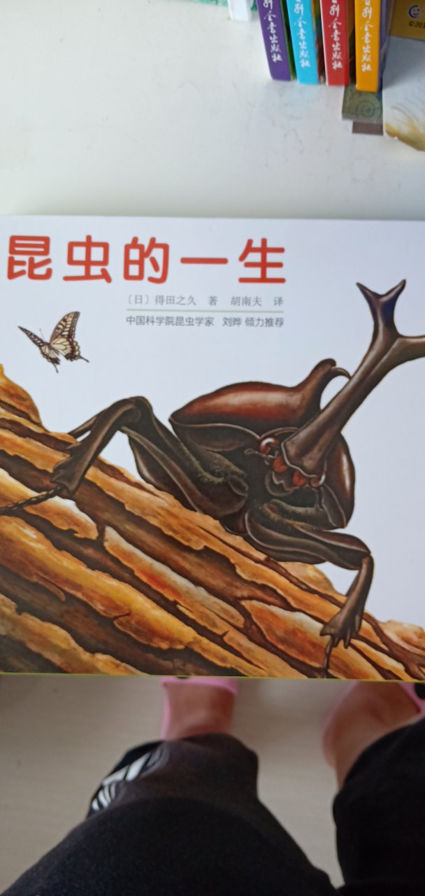 中国科学院昆虫学家推荐的一套昆虫书，留给宝宝大点再看的。