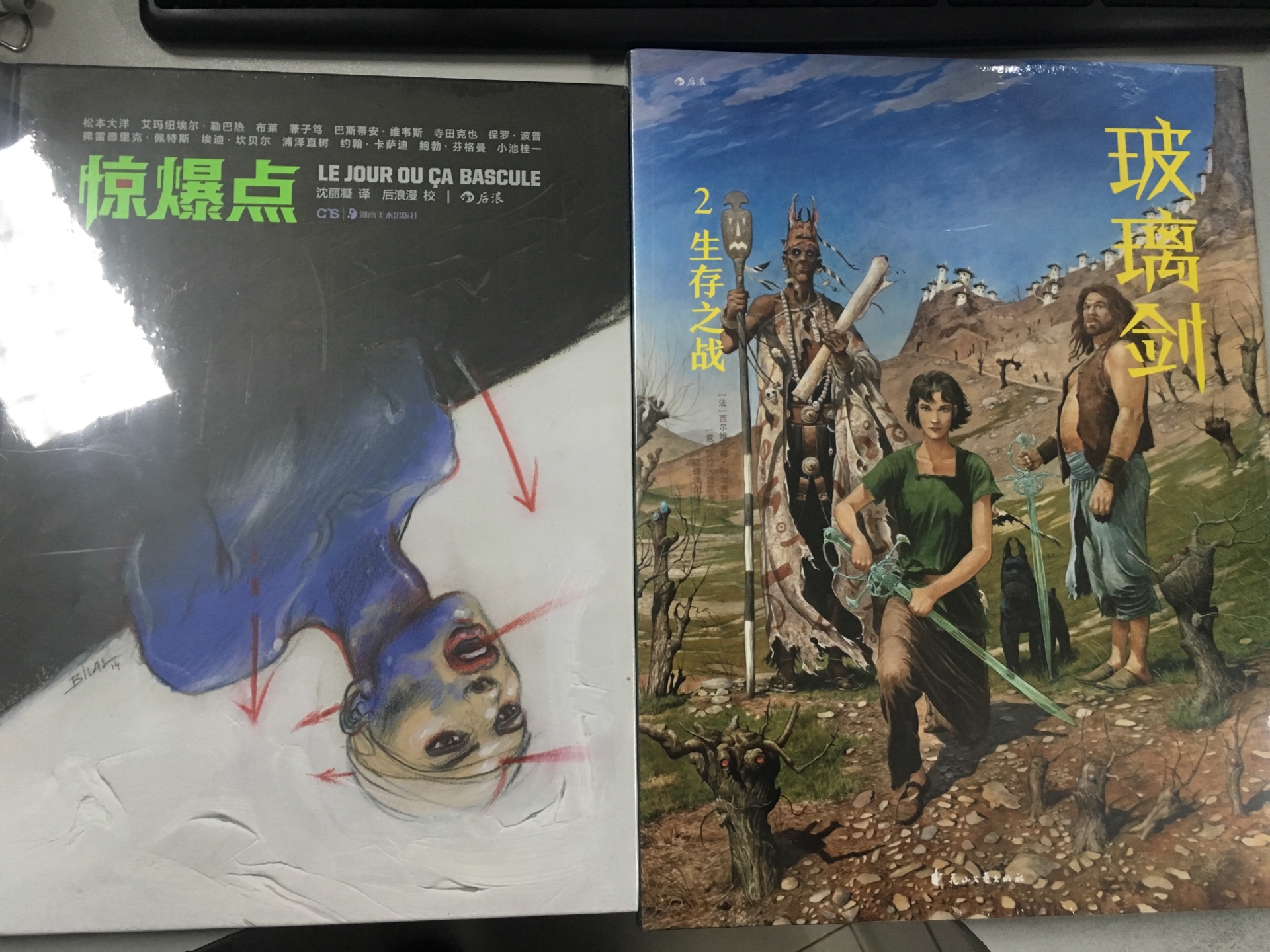 中古的冒险故事 颇有些魔戒的味道 异常精彩的故事与画风 开本很大 看着很爽