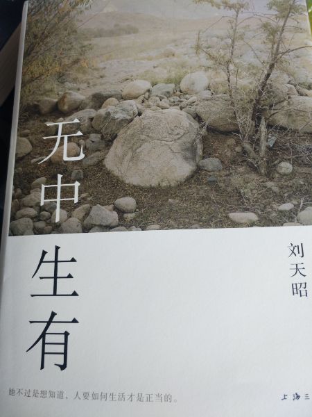 刘天昭，这个作家也是个女汉子吖，第一本小说，就弄个大部头，闲了细细阅之。