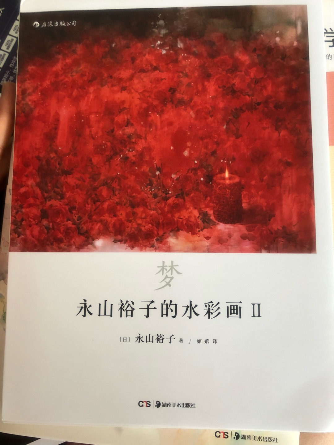 喜欢永山裕子的画，把一套书都买齐了，打算好好学习，书的质量不错，买书很方便价格也实惠，五星好评！