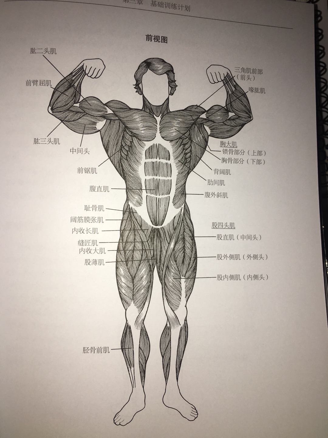 科学训练、健康饮食及受伤处理，知识很全面，健身爱好者必备。