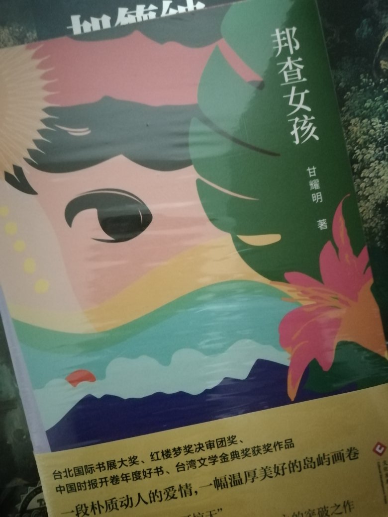好厚的一本啊！后浪出的华语文学系列真的太惊喜了，黄锦树的《雨》，刘以鬯的《迷楼》，郭强生的《断代》还有这本《邦查女孩》都超级好看的！