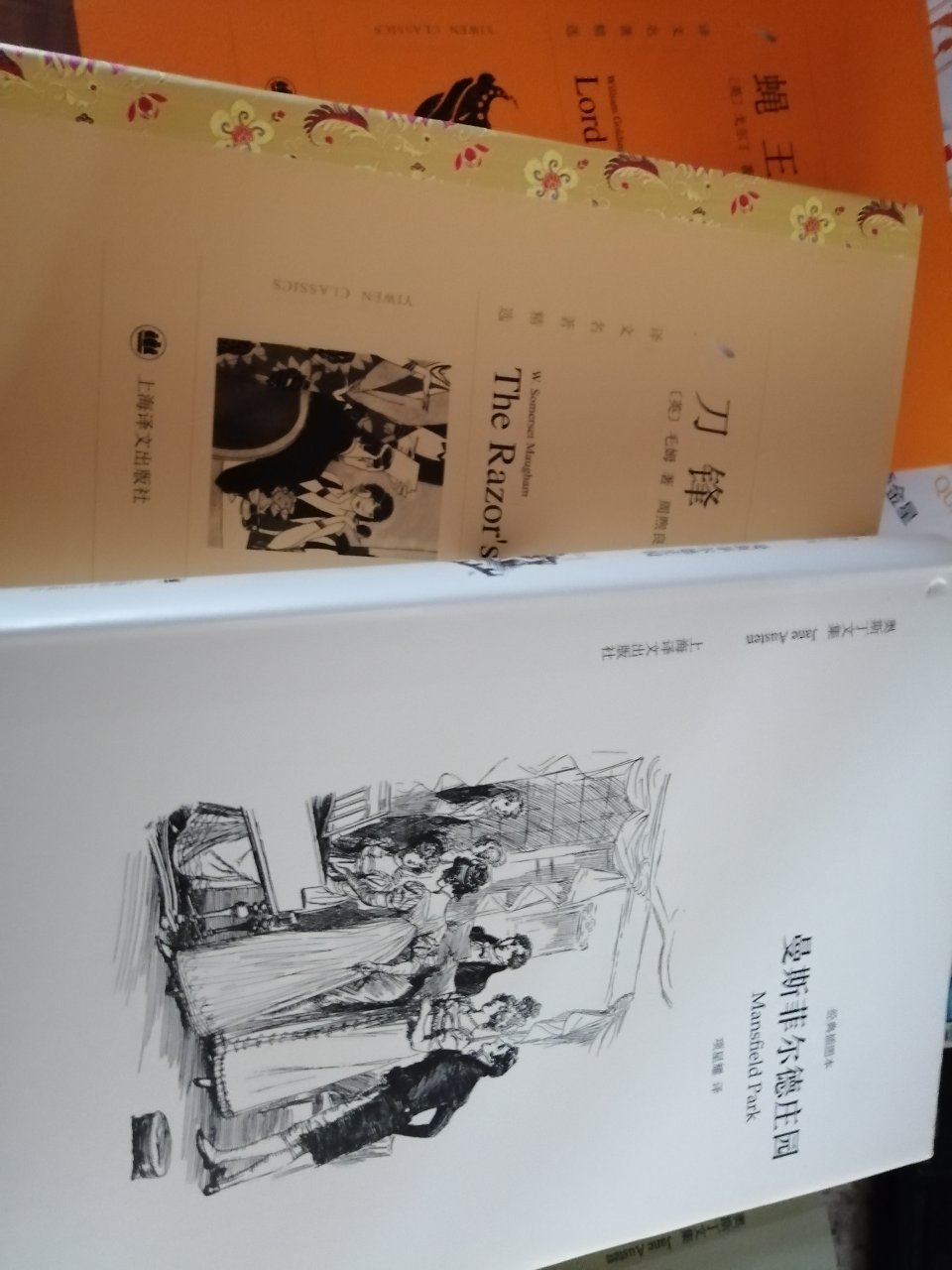 上海译文出版社外文书籍，翻译比较不错，喜欢