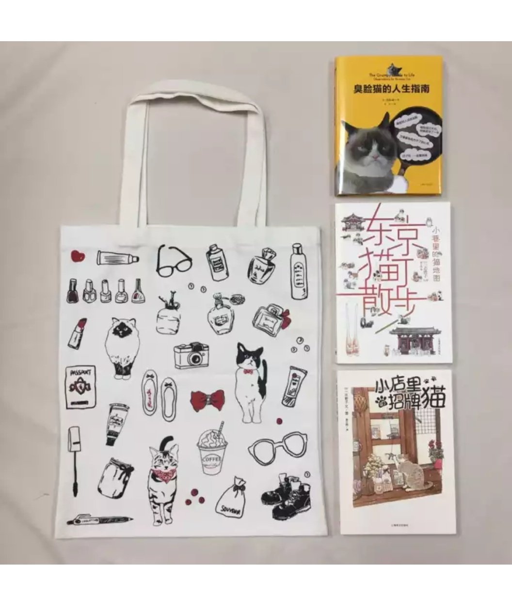 三本书加一个帆布袋 价格超值 两本是日系的绘本 还有一本是网红猫 帆布袋也很可爱 外面是一个纸盒子包装