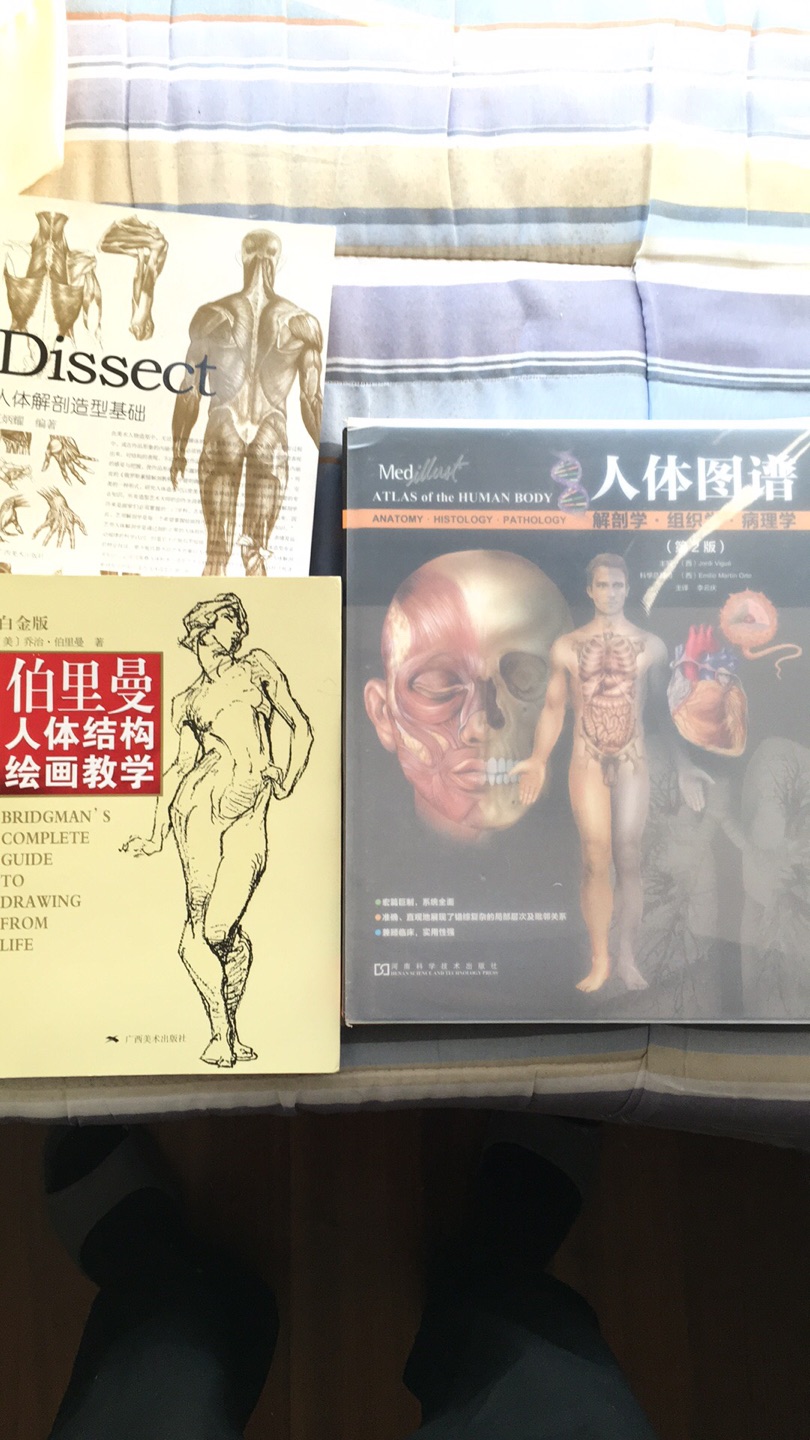 好书，有点高深，没有基础的人看着困难，配合解剖图谱使用