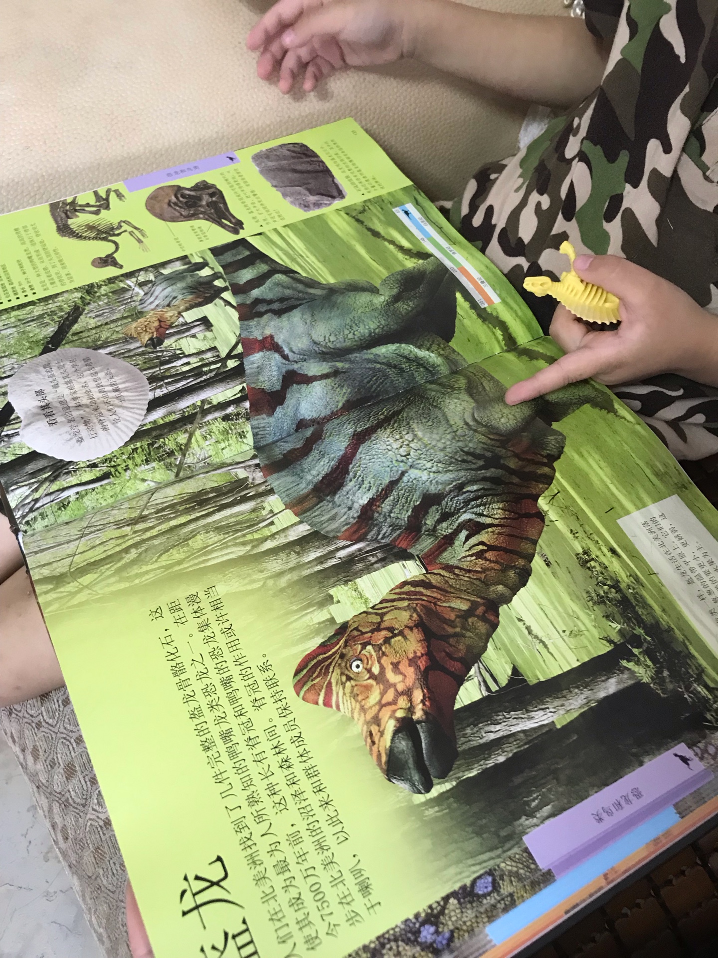 内容特别全面的恐龙百科，孩子看的津津有味，很是喜欢。价优到手