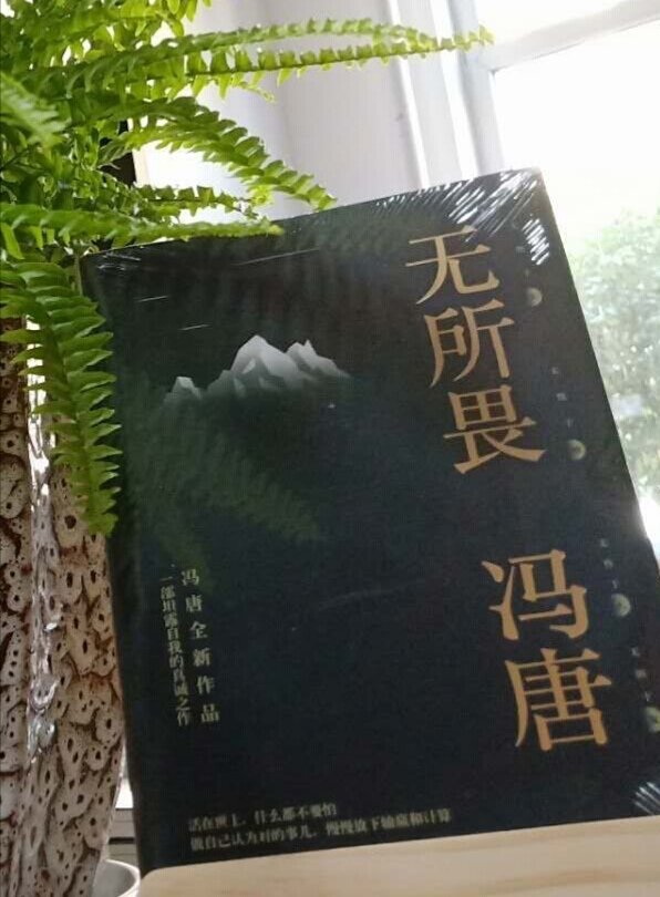 冯唐老师新书，必须捧场啊！
