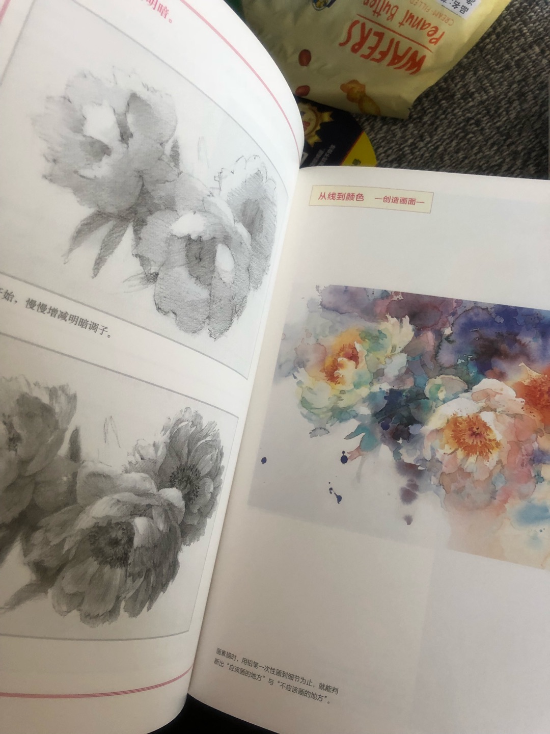 喜欢永山裕子的画，把一套书都买齐了，打算好好学习，书的质量不错，买书很方便价格也实惠，五星好评！