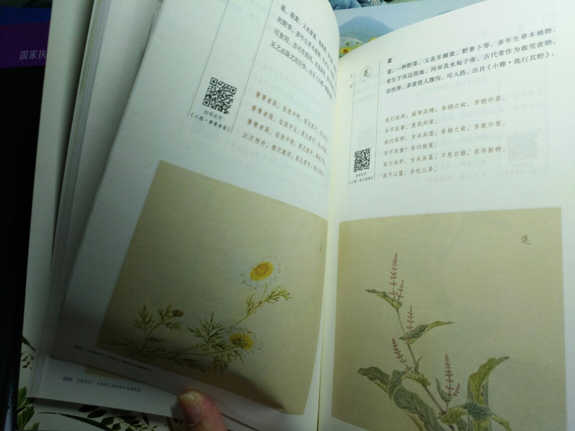 书的质量很好，书店店员推荐过的一本书，将诗经里的植物都形象化了