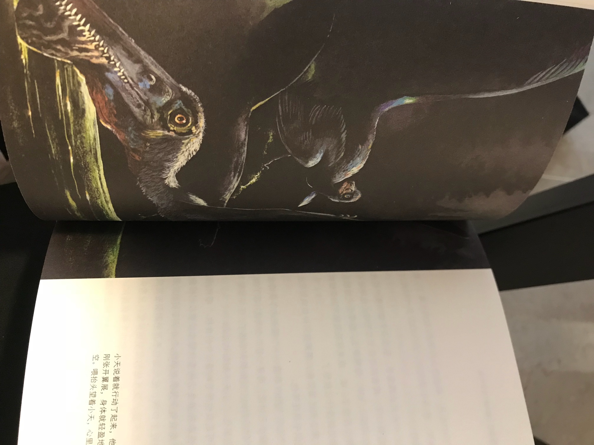 开本比较小啊，不过整套书的装帧设计看起来非常高大上，孩子很痴迷恐龙，除了百科，我想让他看看有思想内核的恐龙小说。